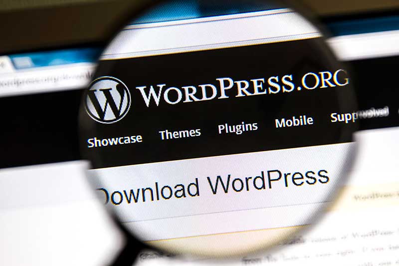 WordPress.org platform for membership website building